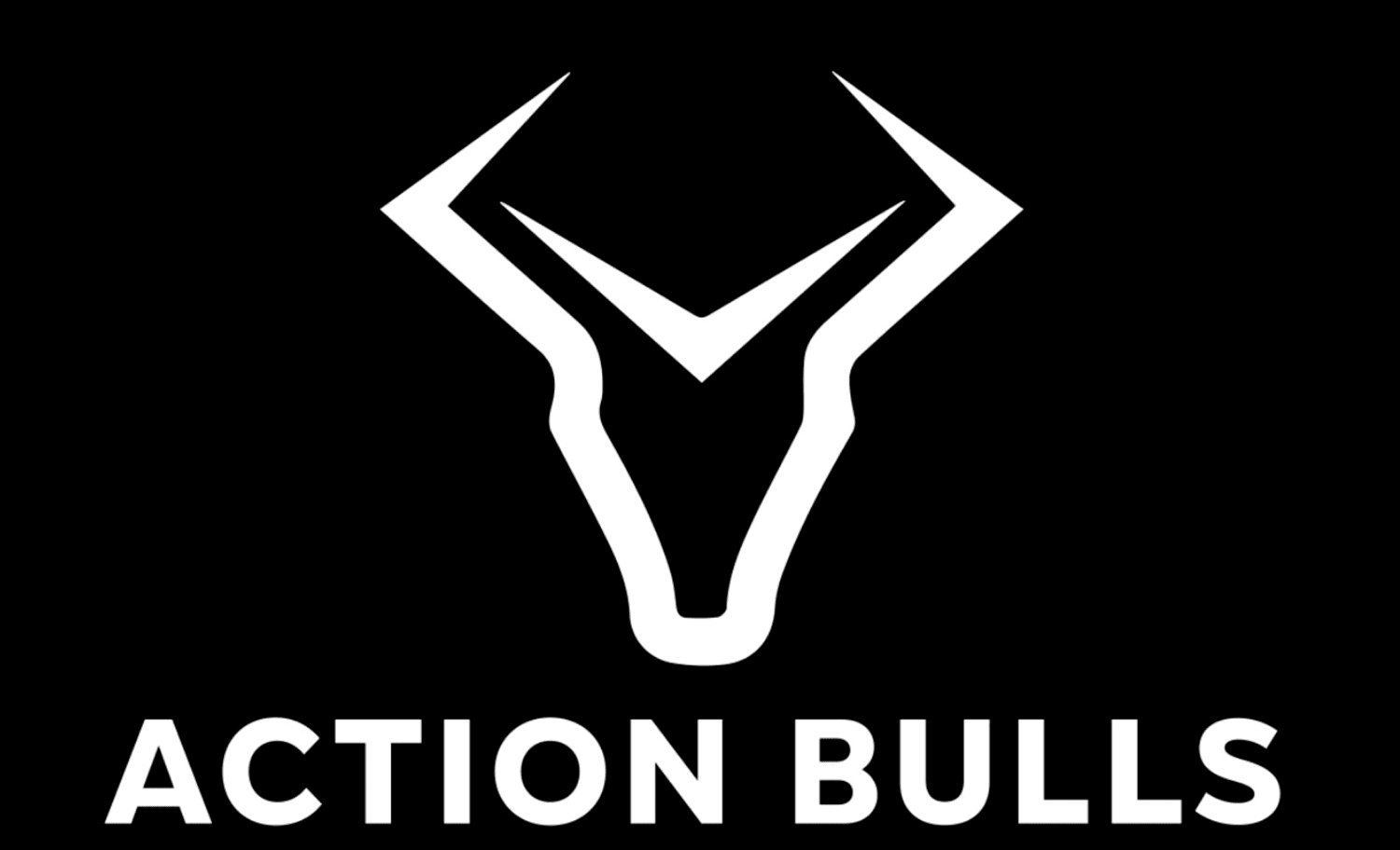 ACTION BULLS