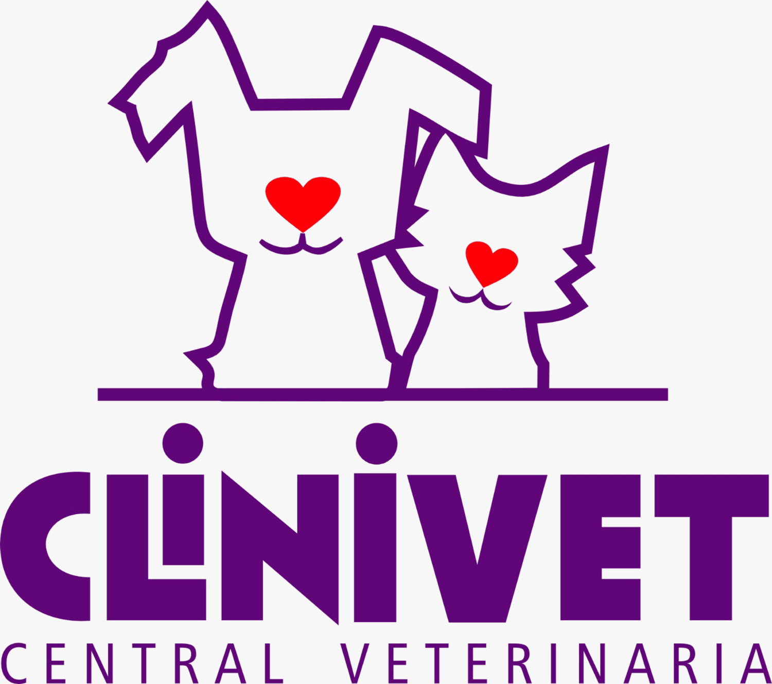 CLiNiVET CENTRAL VETERINARIA