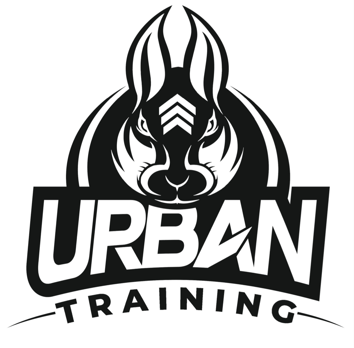 URBAN TRAINING