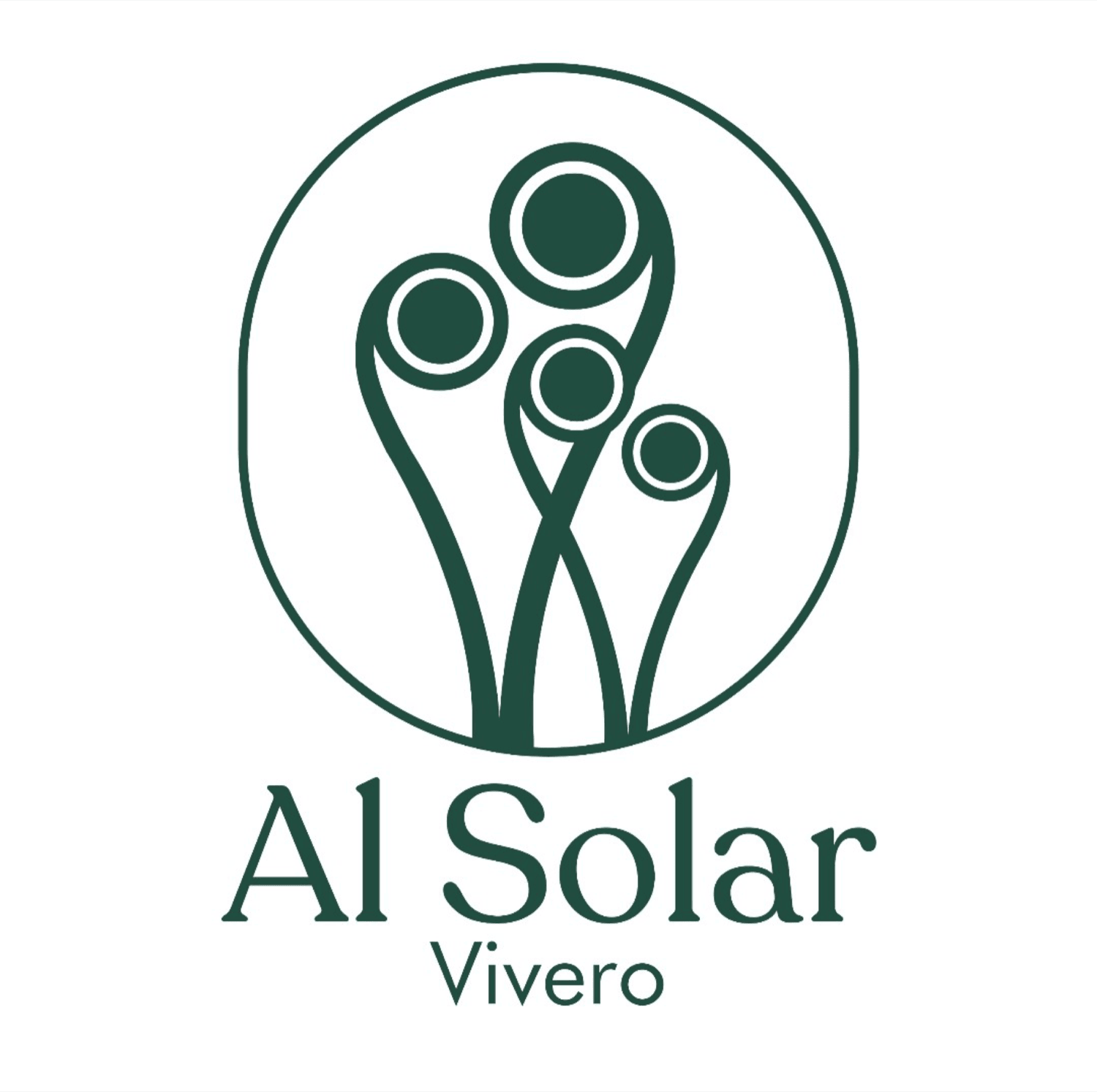Al Solar Vivero