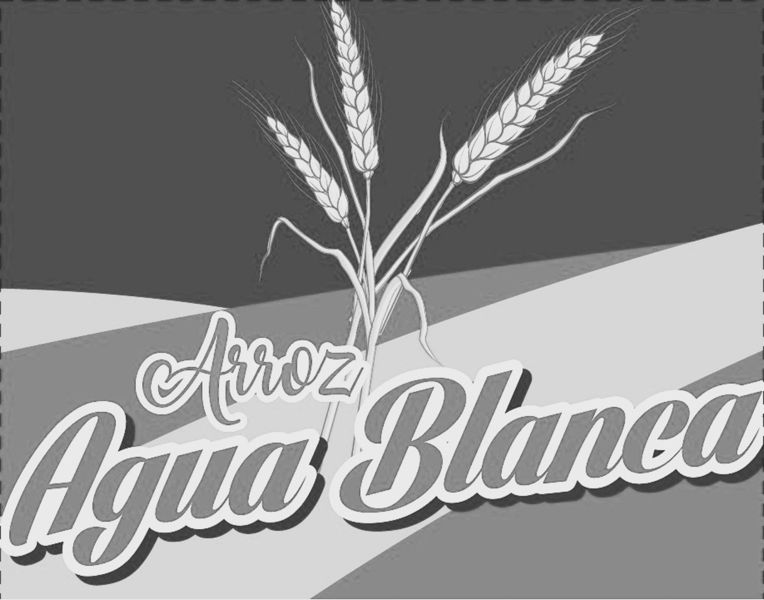 Arroz Agua Blanca