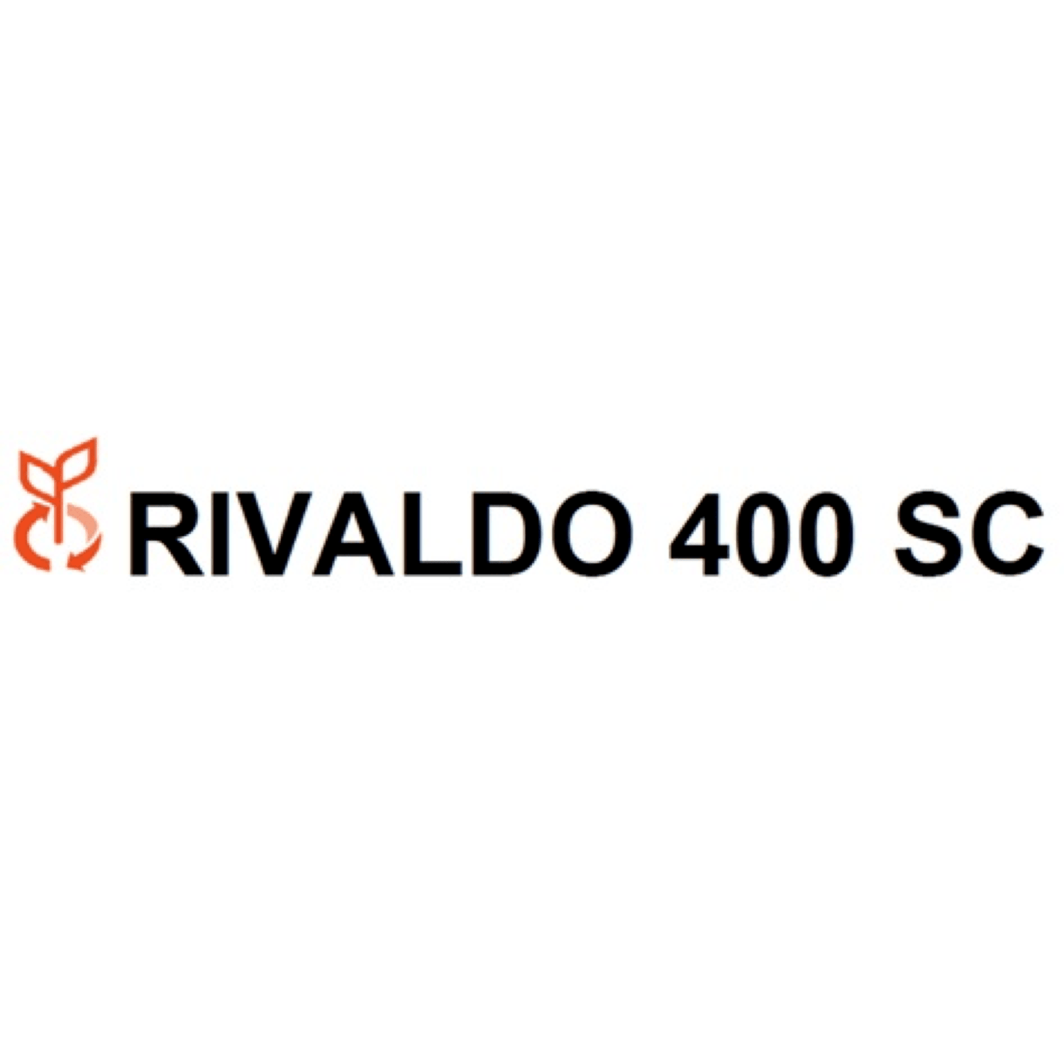 RIVALDO 400 WG