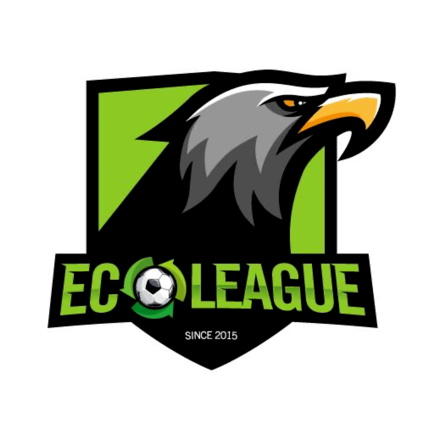 ECO LEAGUE SINCE 2015