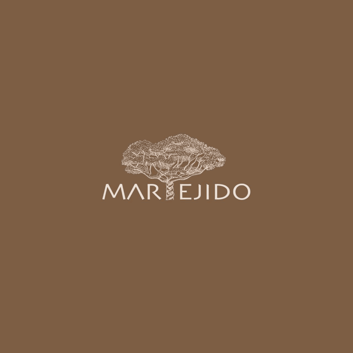 MARTEJIDO