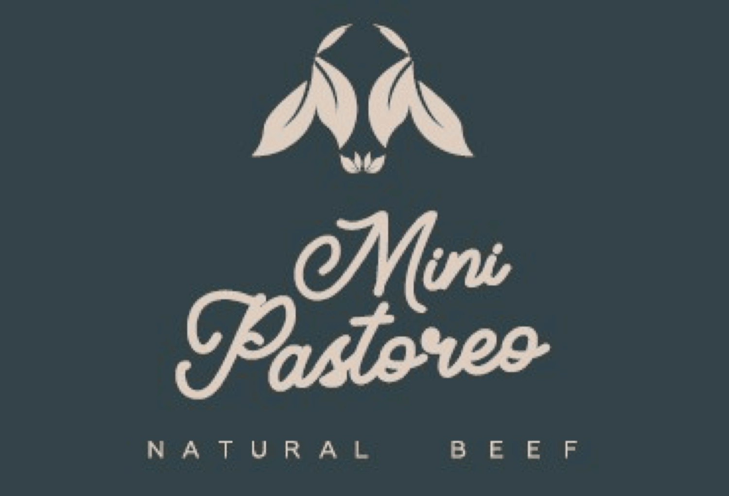 MINI PASTOREO NATURAL BEEF