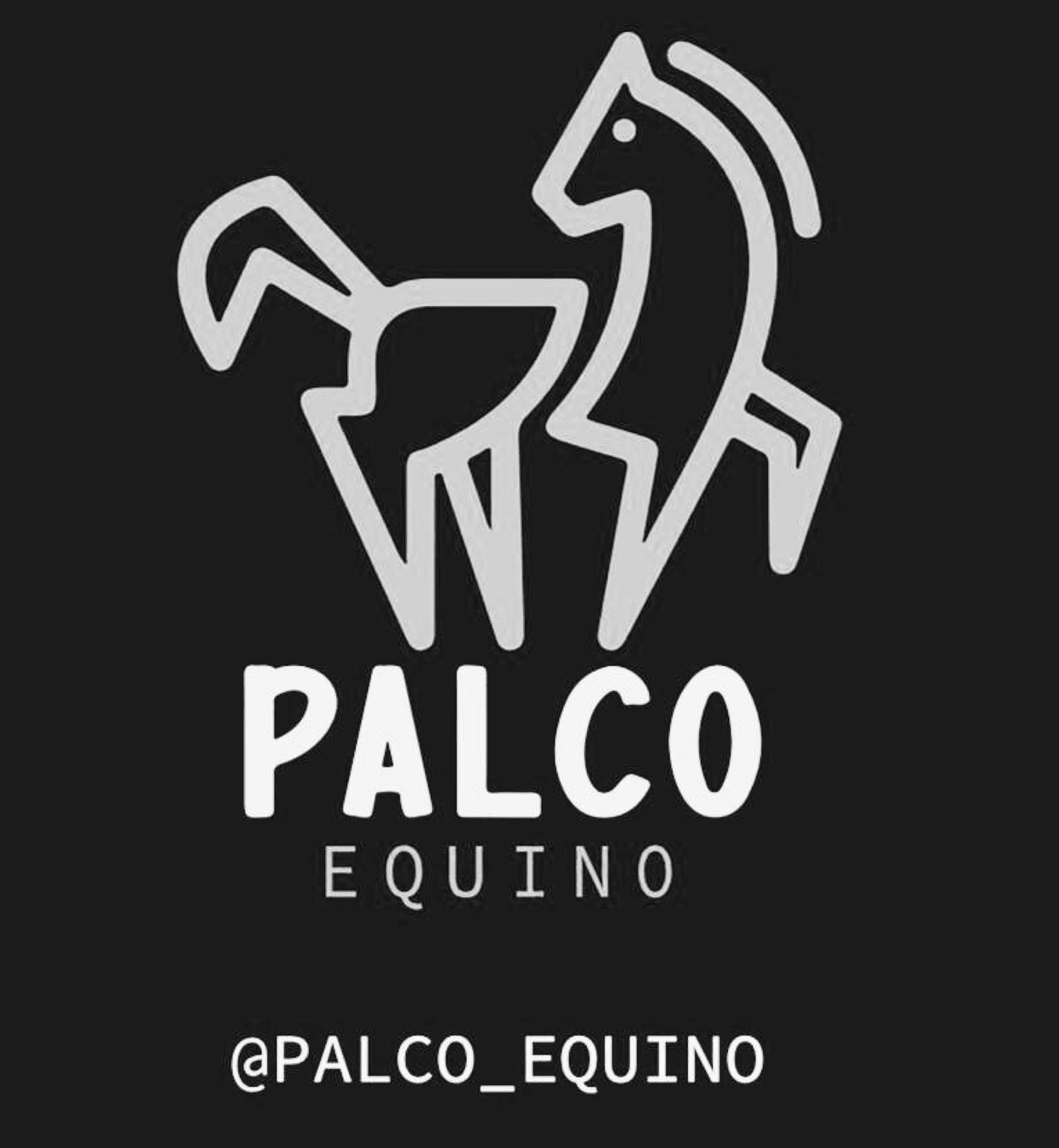 PALCO EQUINO @palco_equino