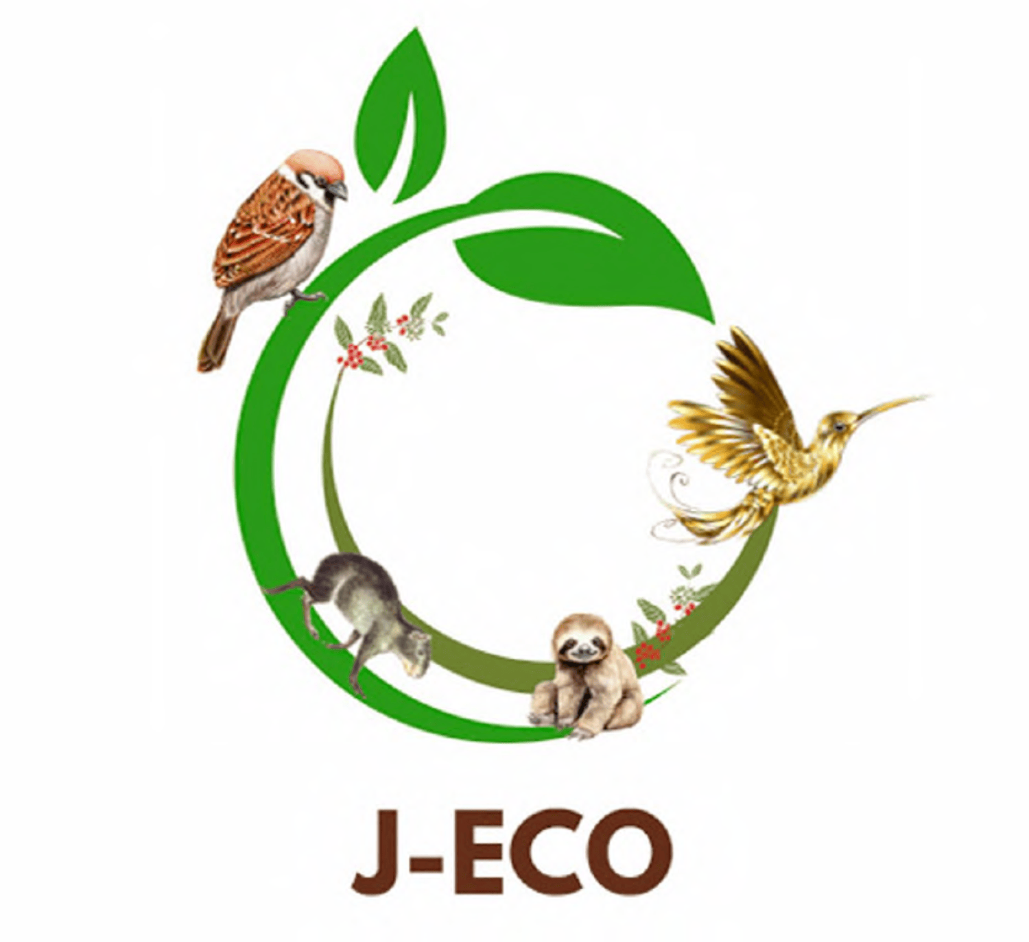 J-ECO COLOMBIA