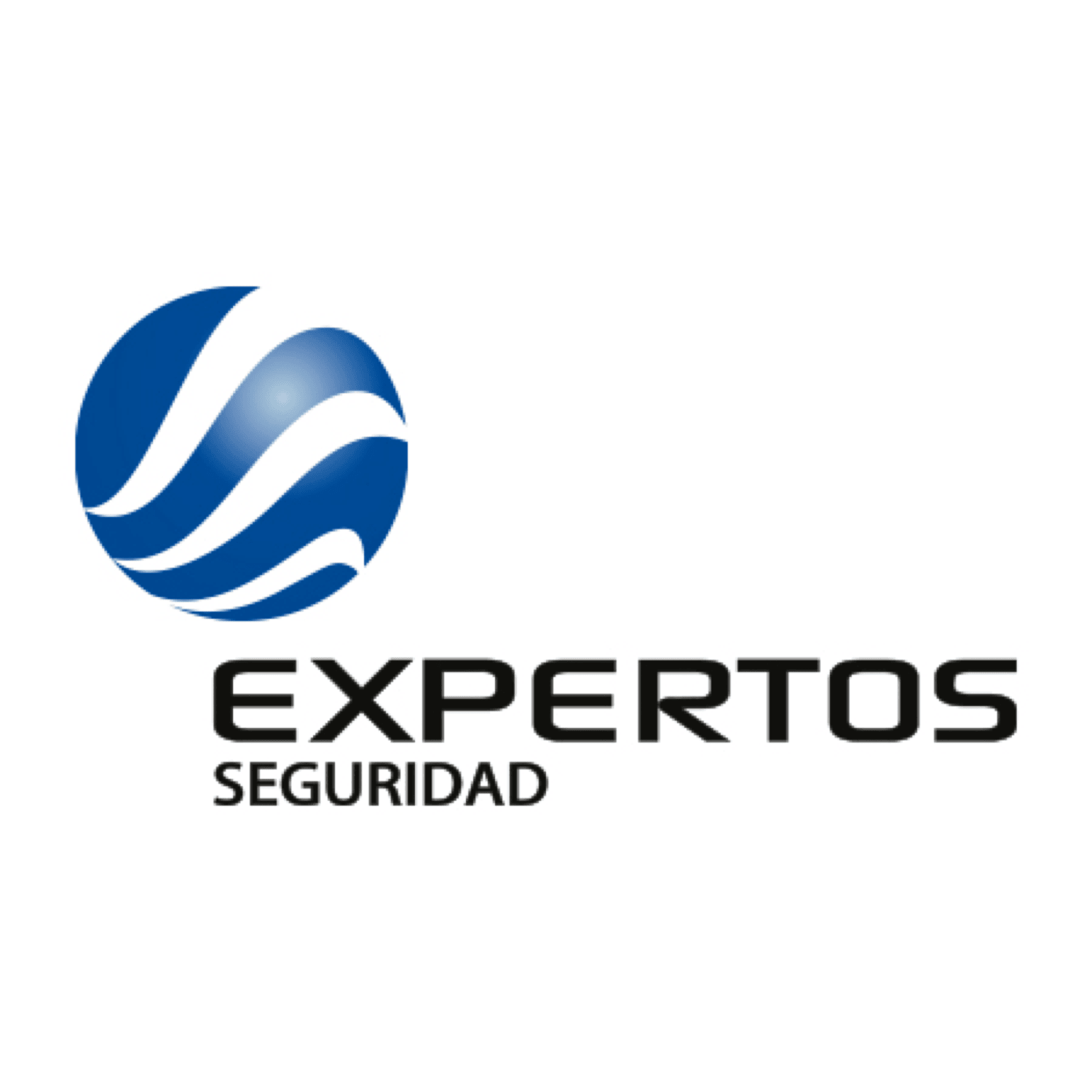 EXPERTOS SEGURIDAD