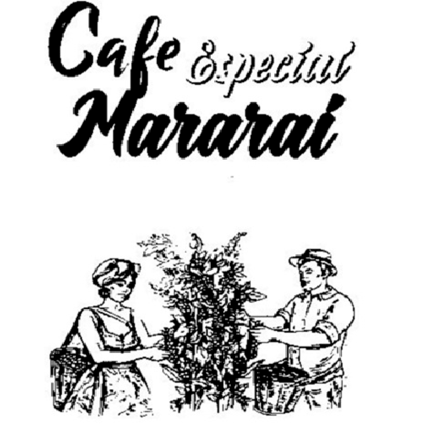 CAFE ESPECIAL MARARAI