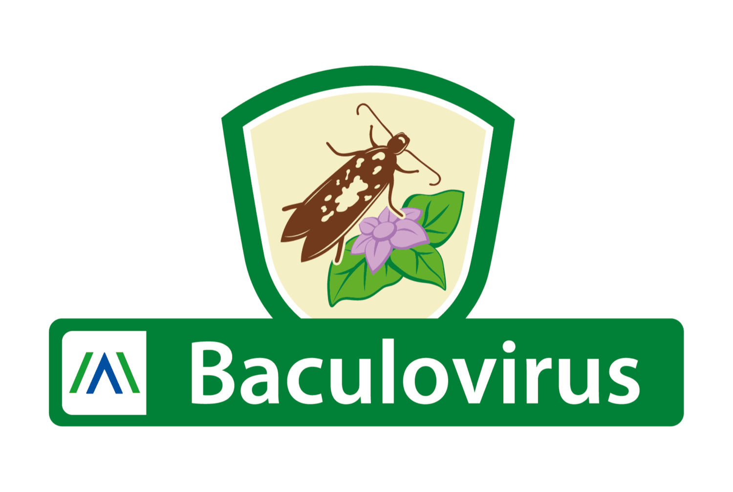 Baculovirus