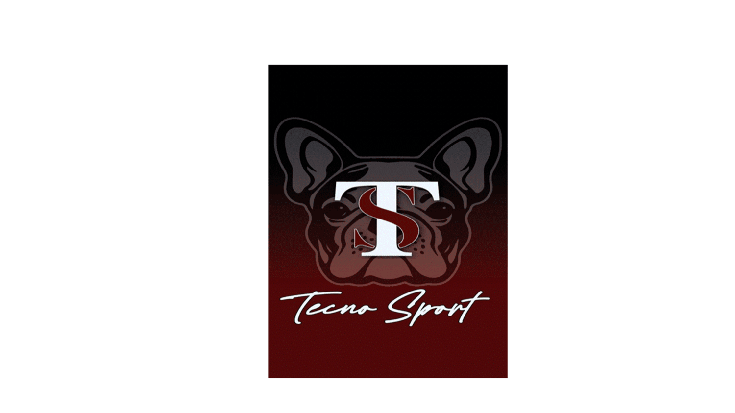 TS Tecno Sport
