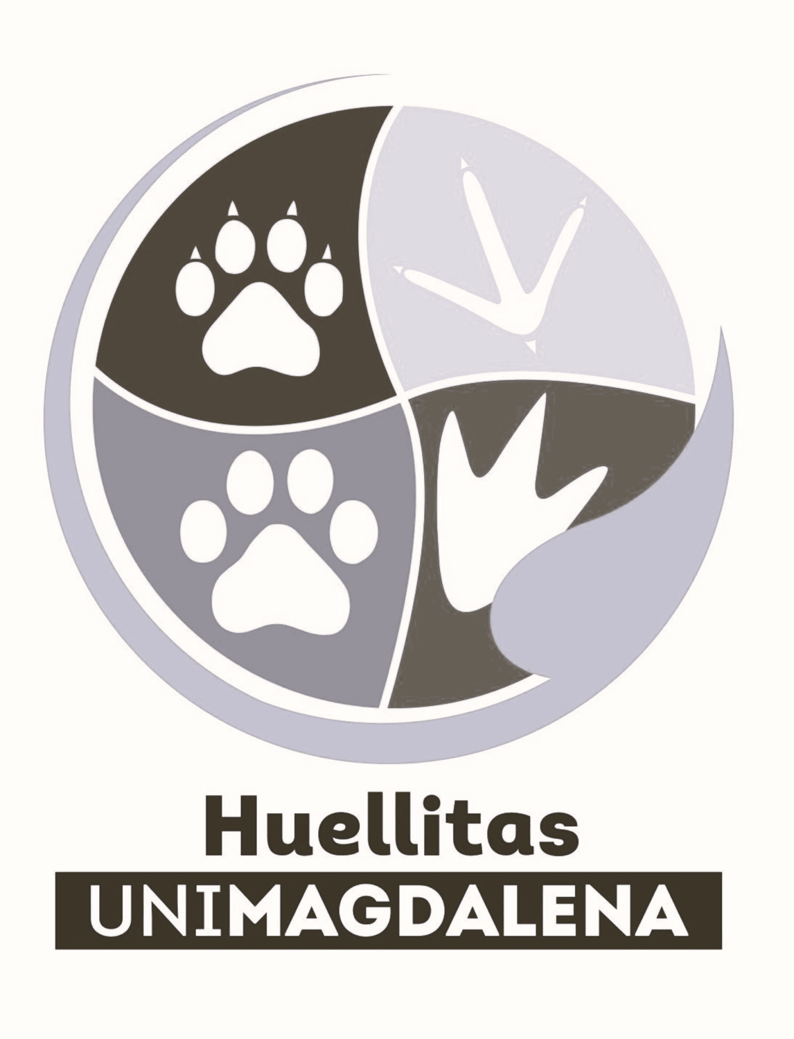Huellitas Unimagdalena