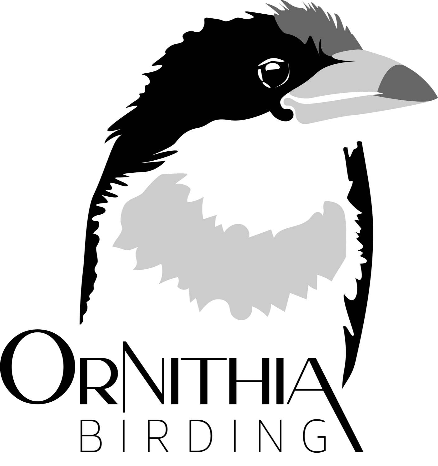 ORNITHIA BIRDING