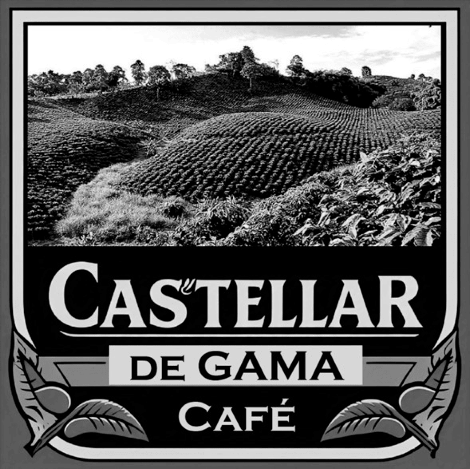 CASTELLAR DE GAMA CAFÉ