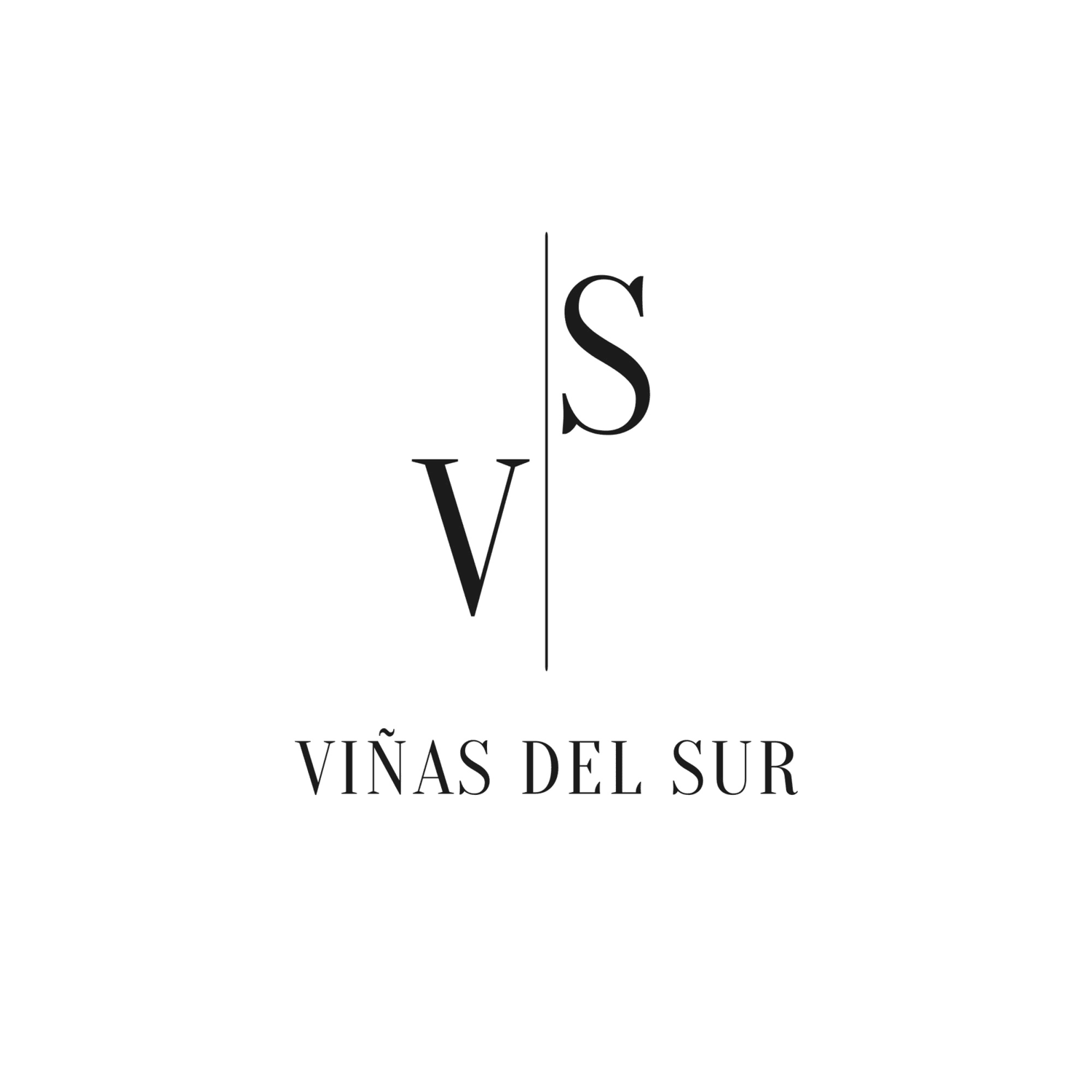 V|S VIÑAS DEL SUR