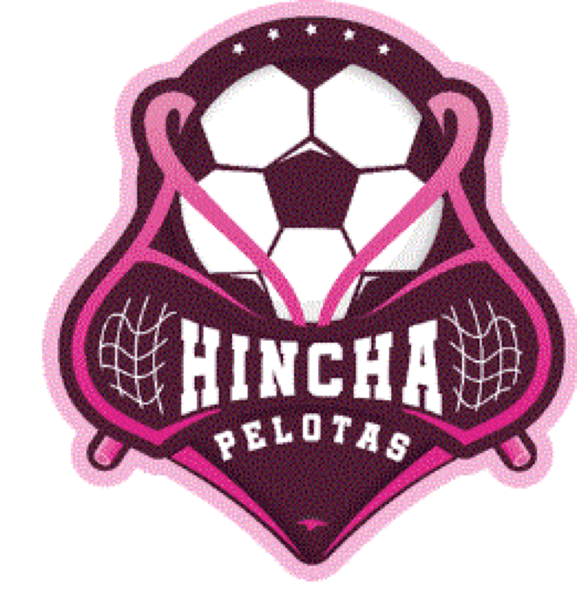 HINCHA PELOTAS