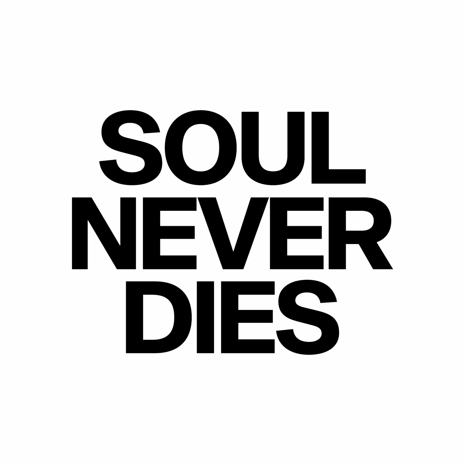 SOUL NEVER DIES