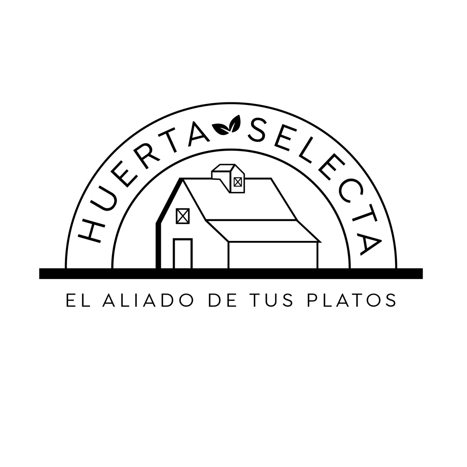 HUERTA SELECTA EL ALIADO DE TUS PLATOS
