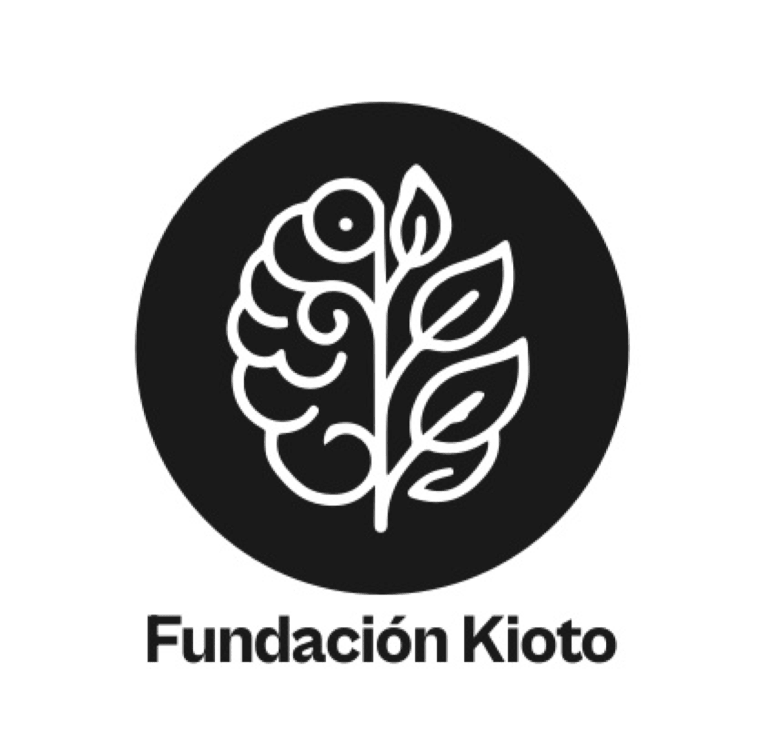 Fundación Kioto
