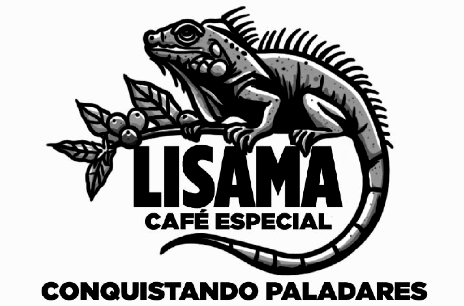 LISAMA CAFÉ ESPECIAL CONQUISTANDO PALADARES
