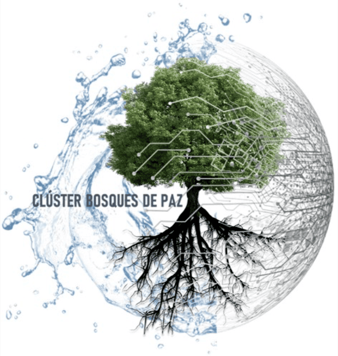 CLÚSTER BOSQUES DE PAZ