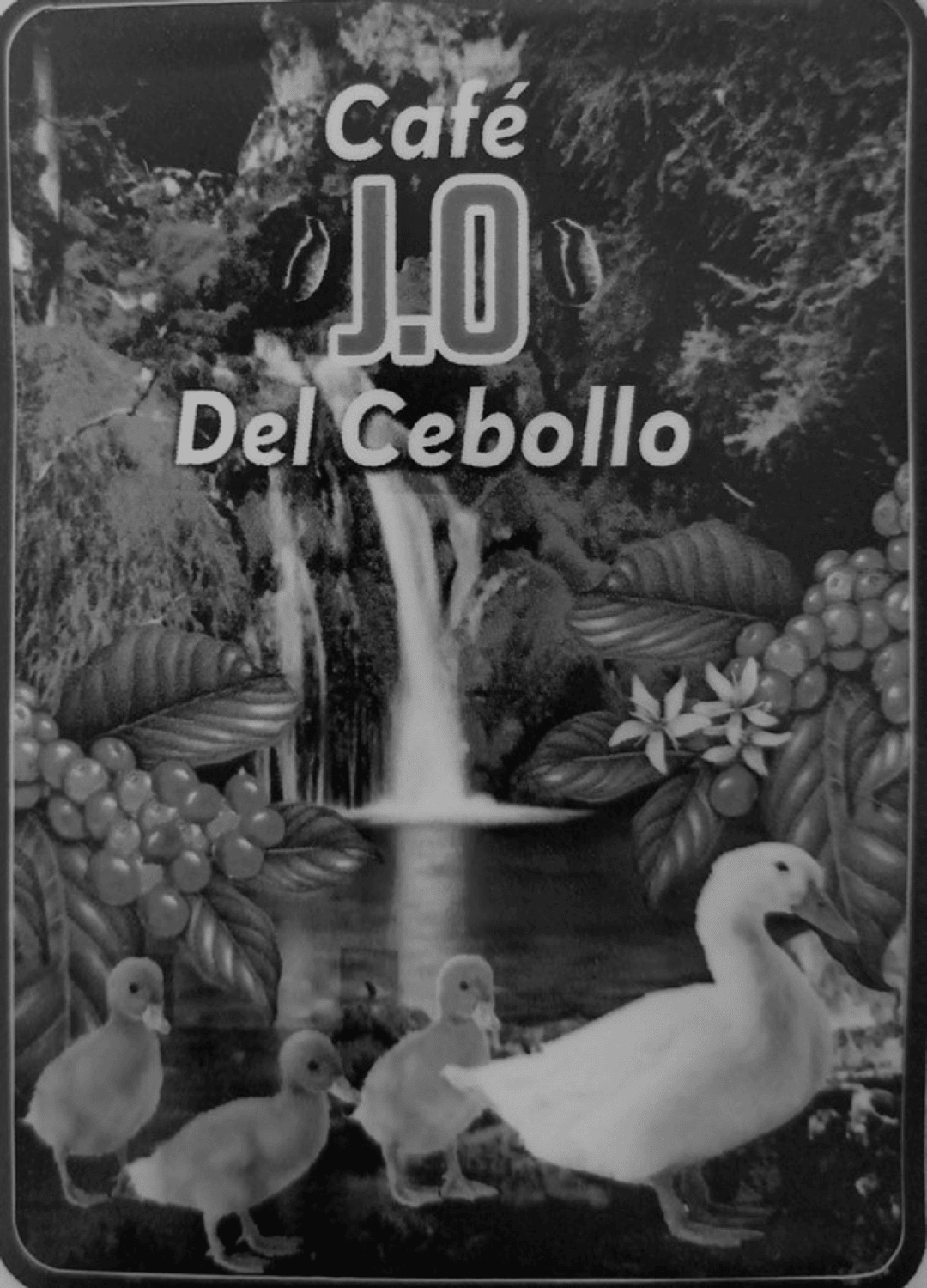 Café J.O Del Cebollo