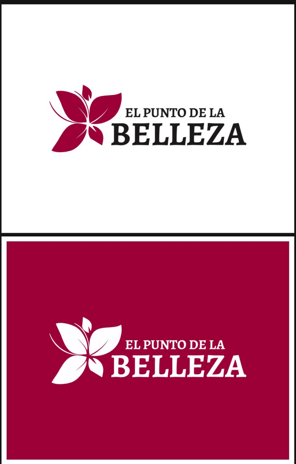 EL PUNTO DE LA BELLEZA