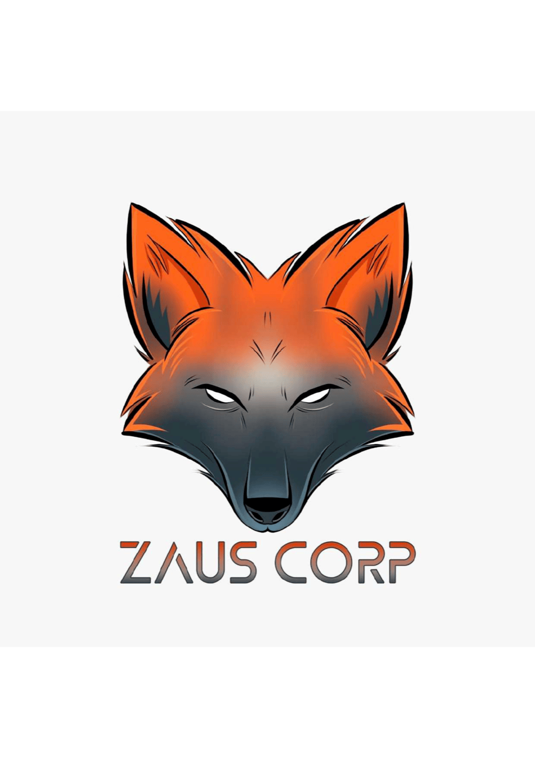 ZAUS CORP