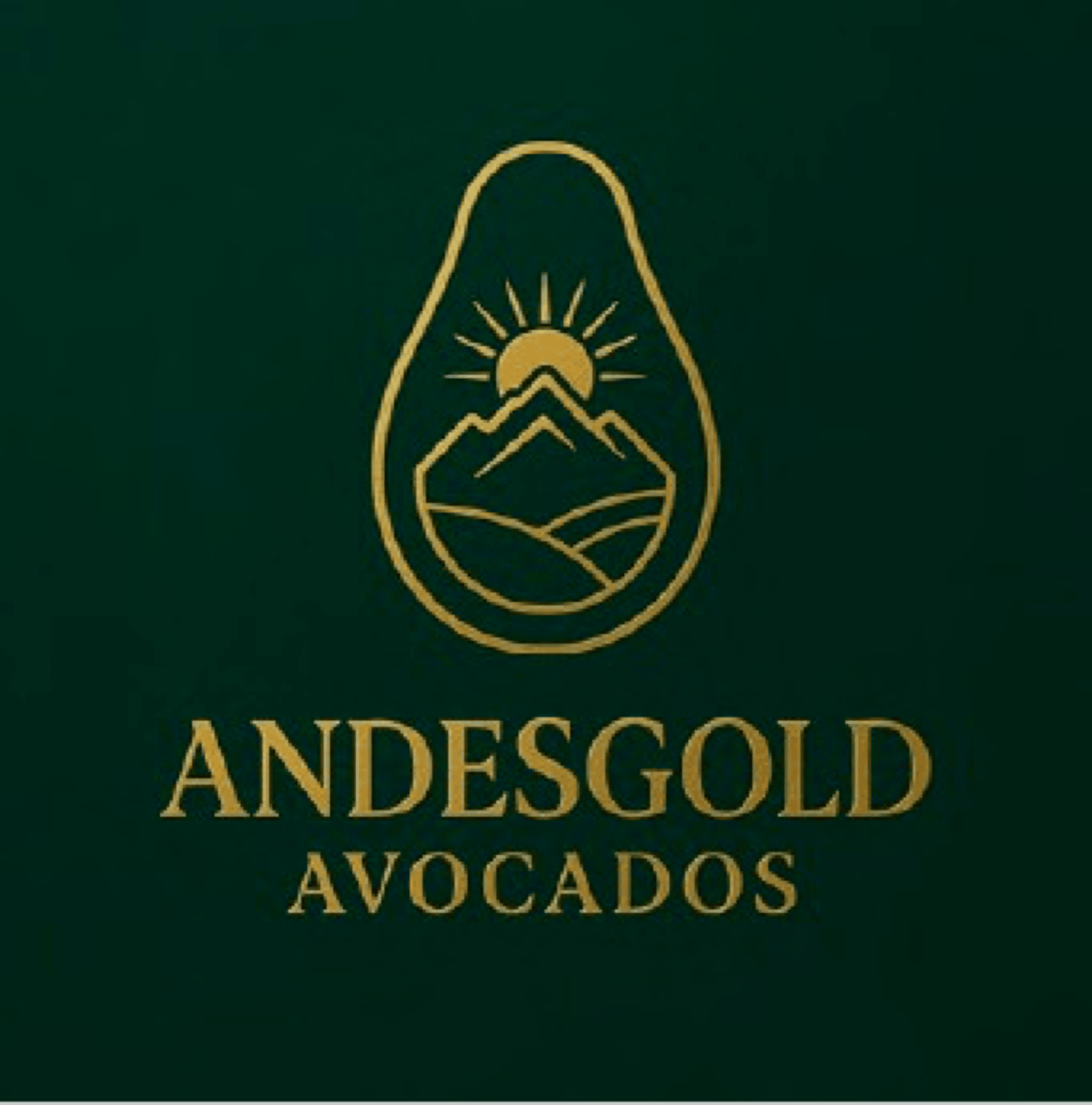 AndesGold Avocados