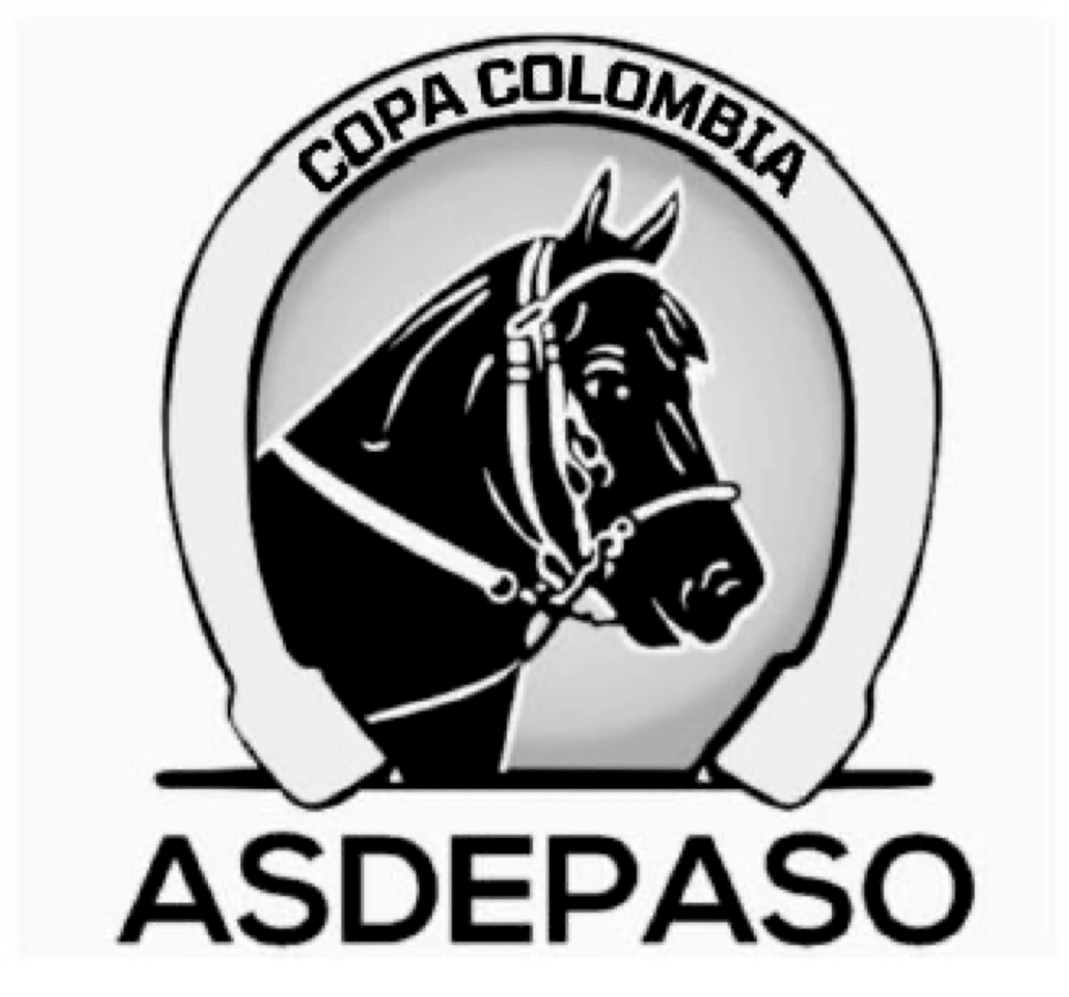 COPA COLOMBIA ASDEPASO