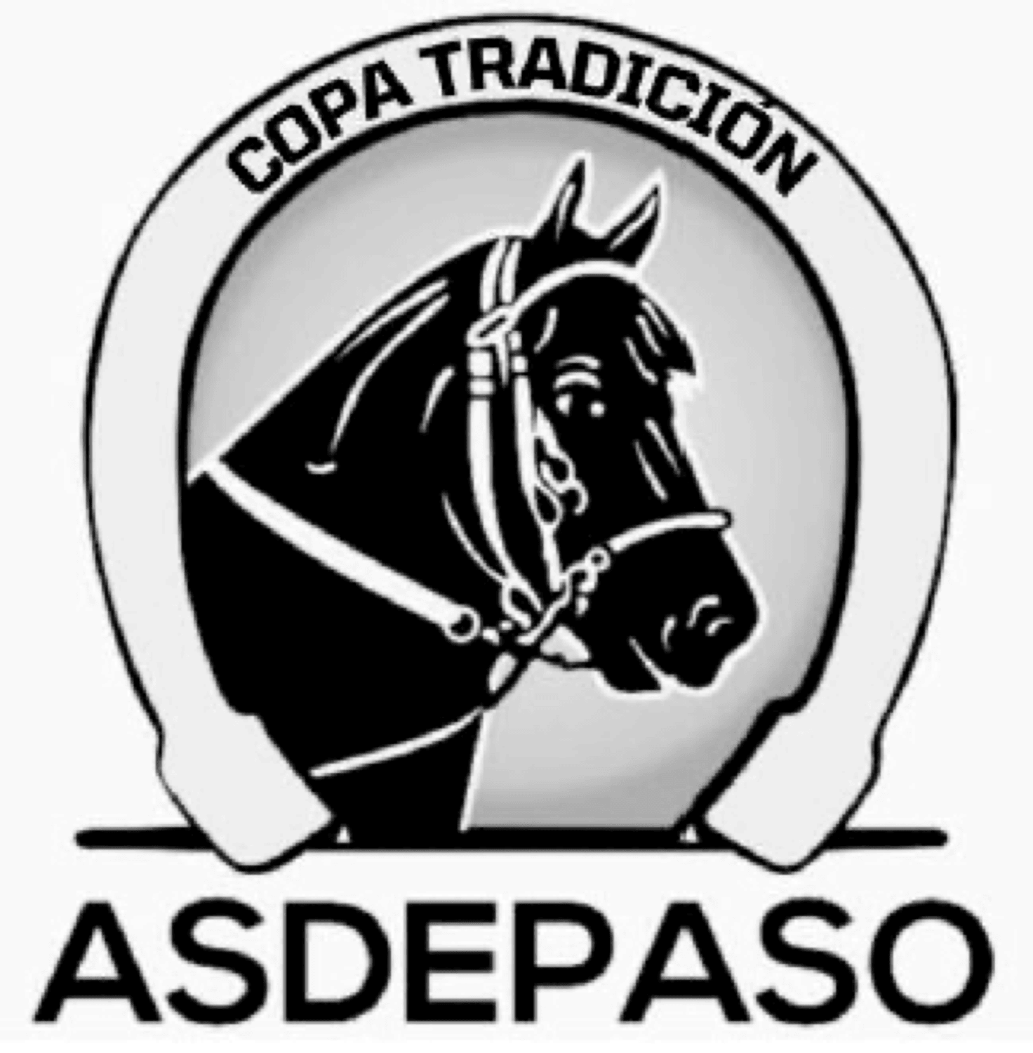 COPA TRADICIÓN ASDEPASO
