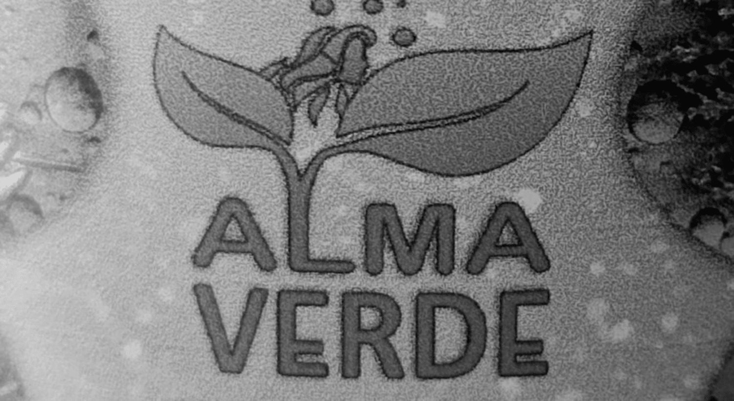 ALMA VERDE
