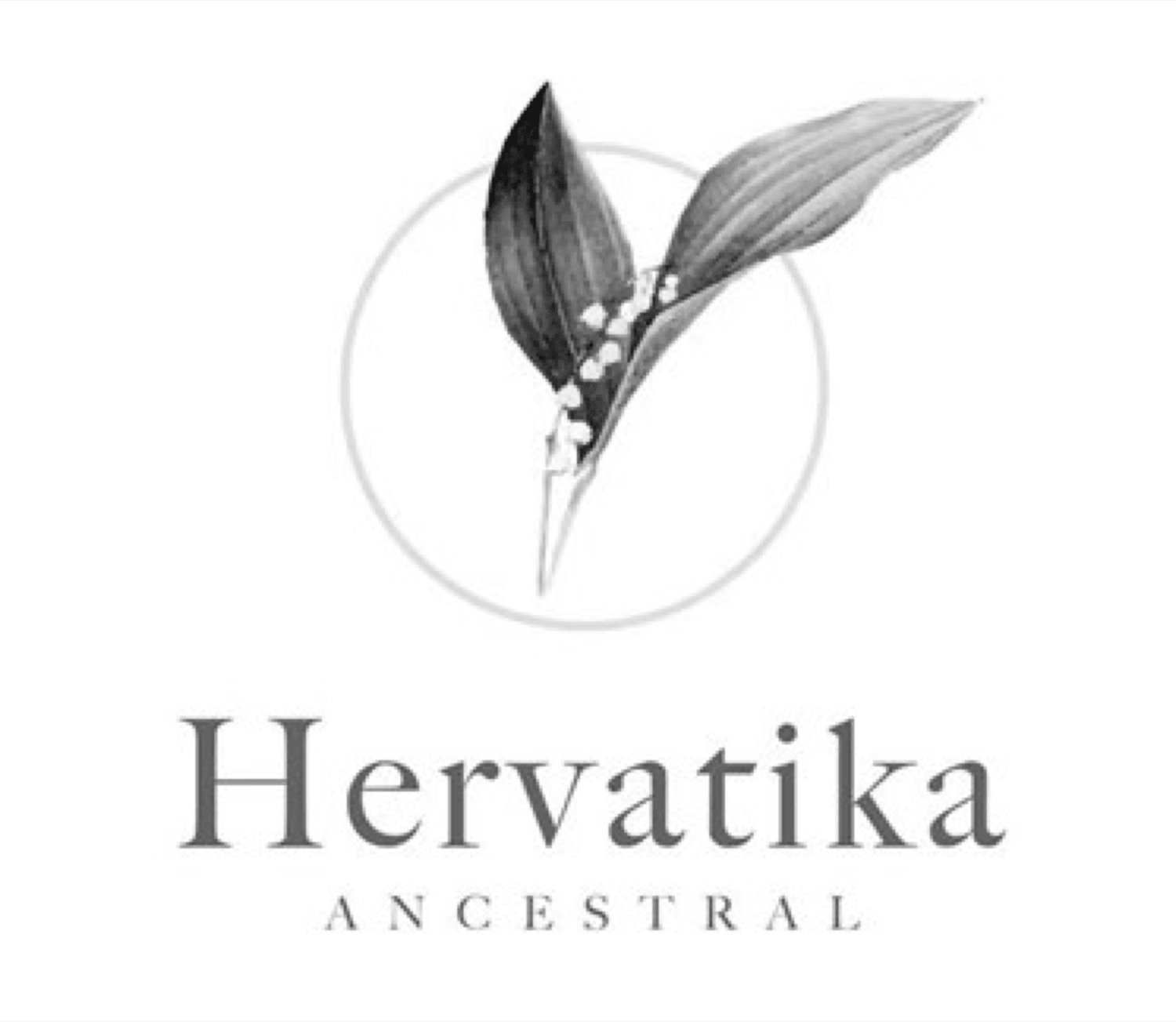 HERVATIKA ANCESTRAL