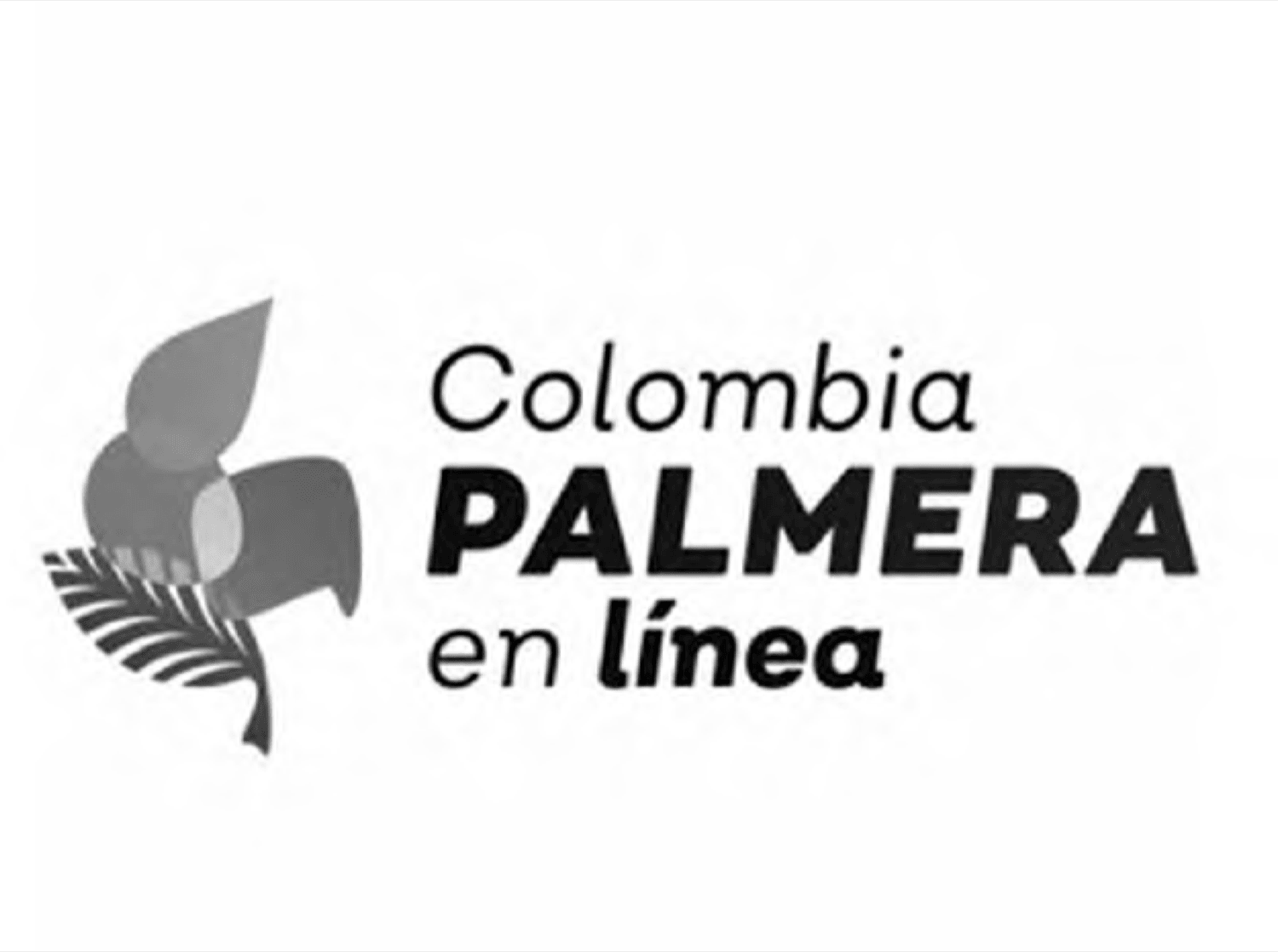 Colombia PALMERA en línea