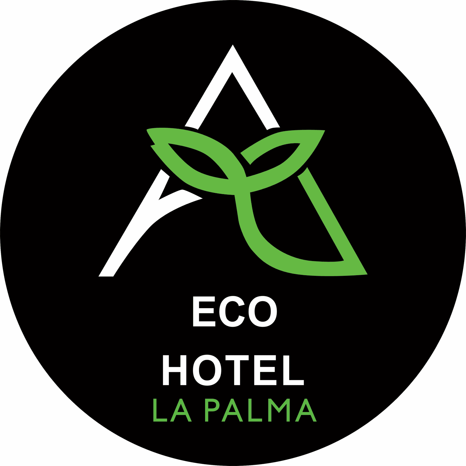 ECO HOTEL LA PALMA