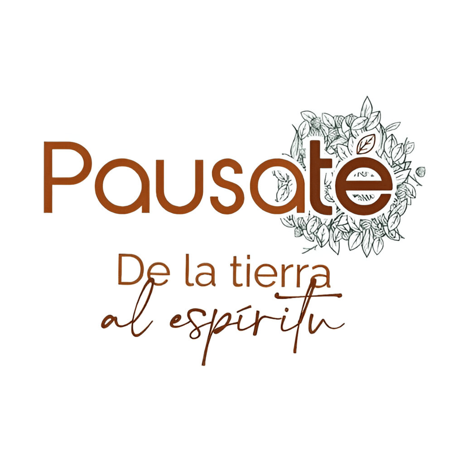 PAUSATÉ DE LA TIERRA AL ESPÍRITU