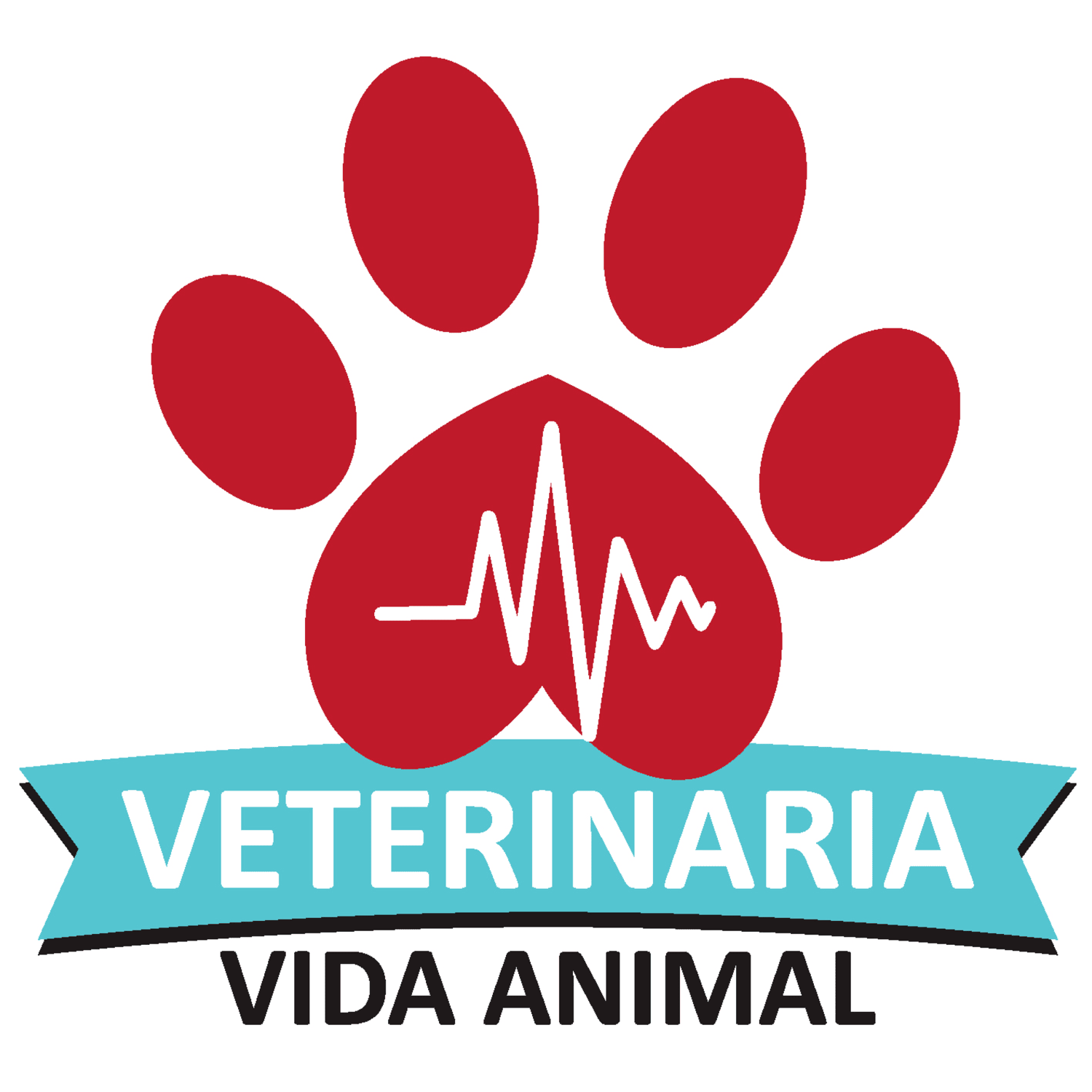 veterinaria vida animal