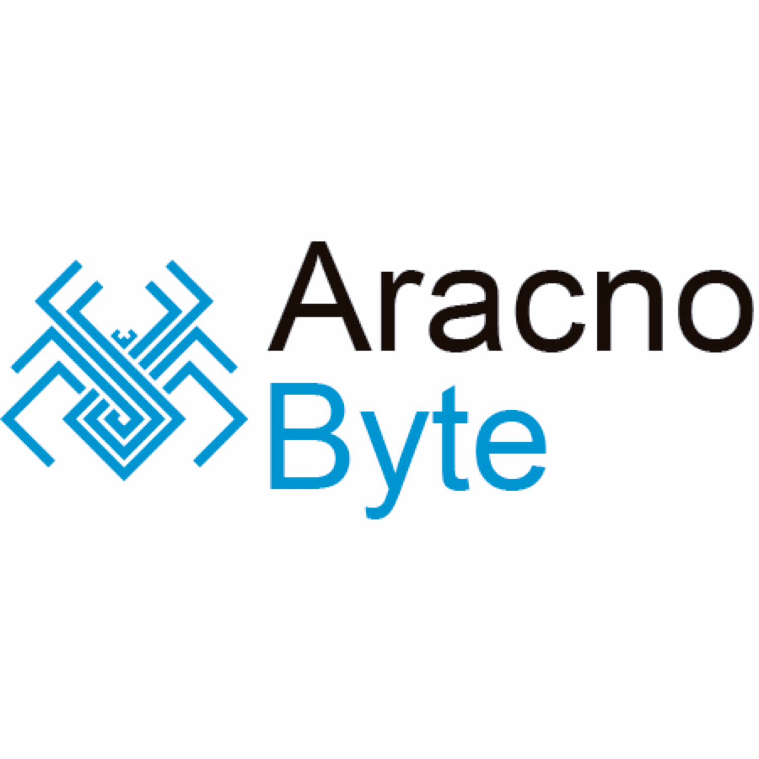 Aracno Byte