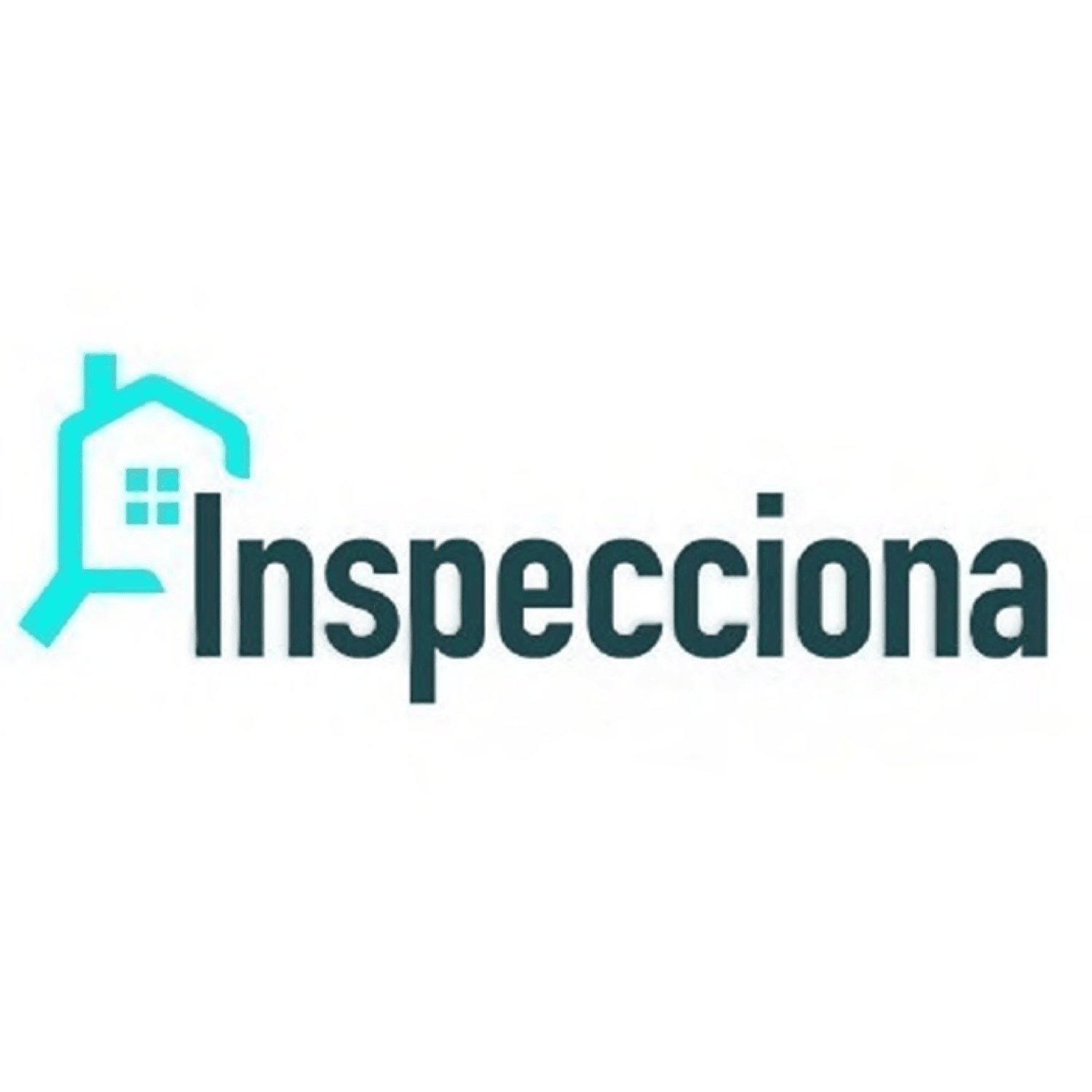 INSPECCIONA