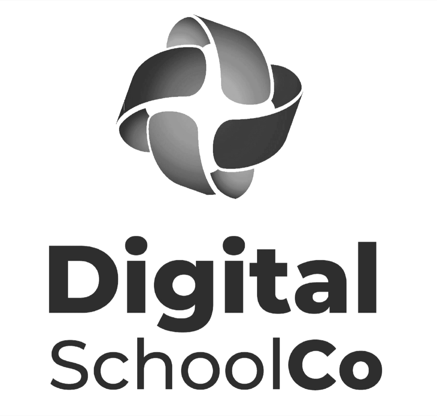 DIGITAL SCHOOL CO