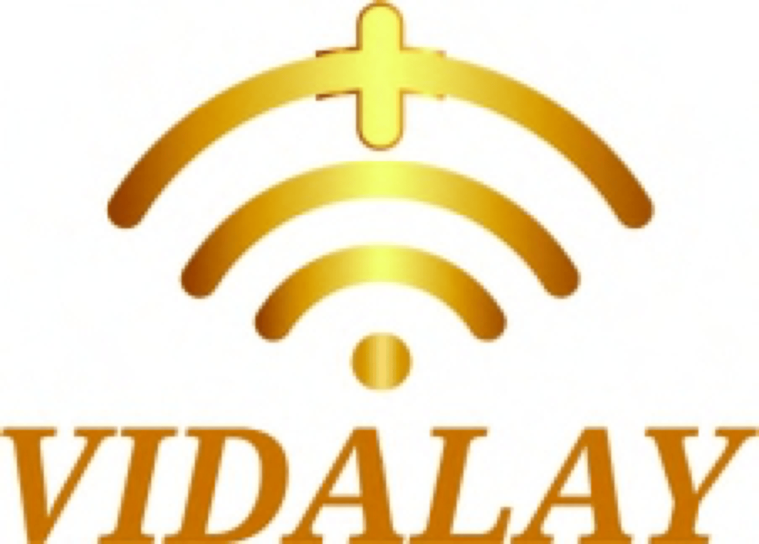 Vidalay