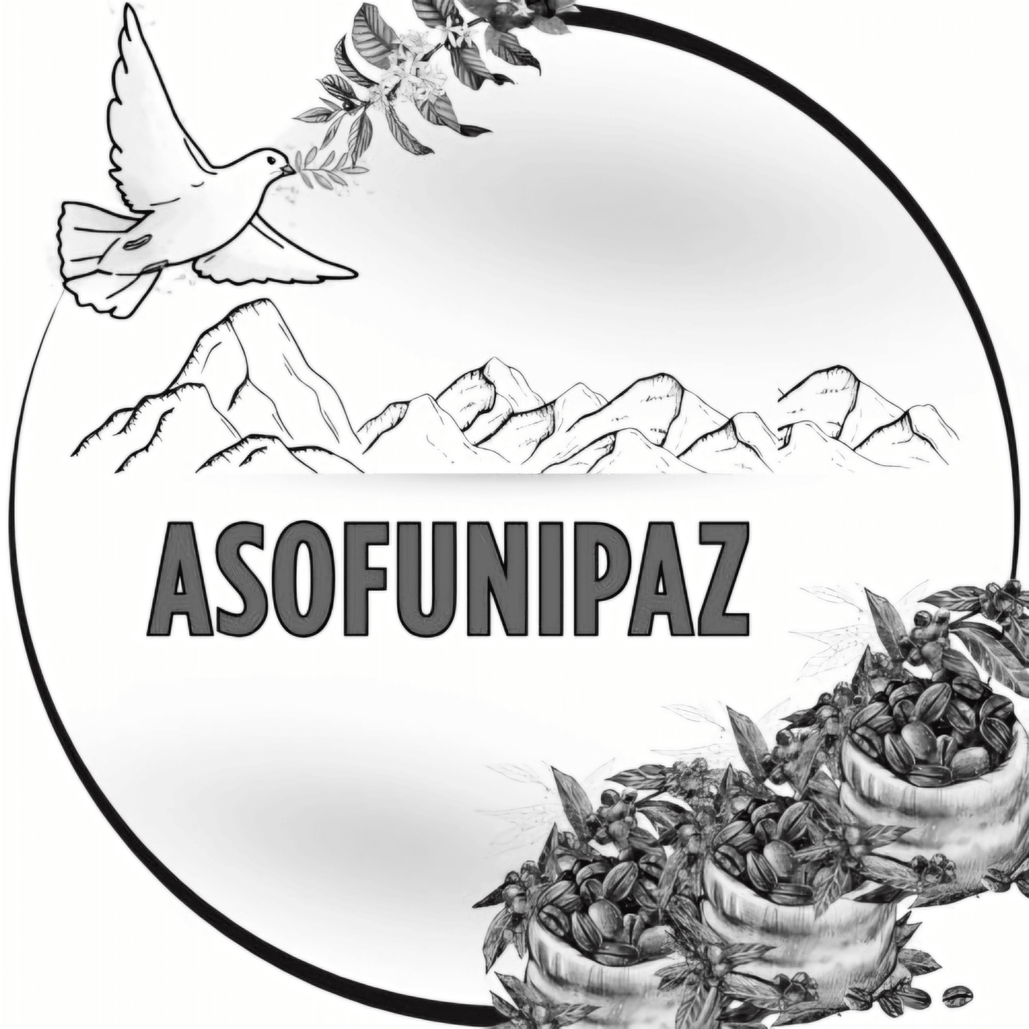 ASOFUNIPAZ