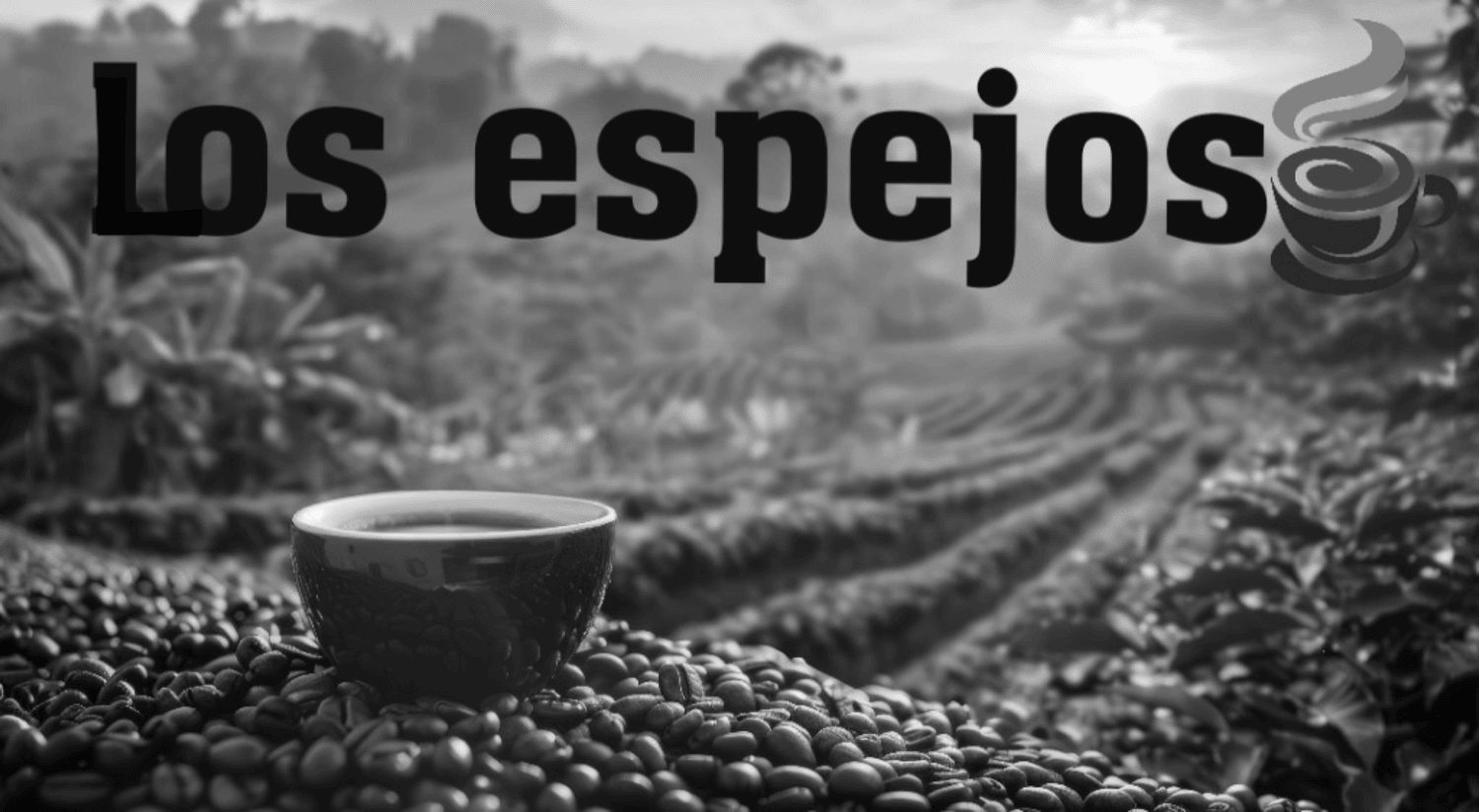 Los espejos