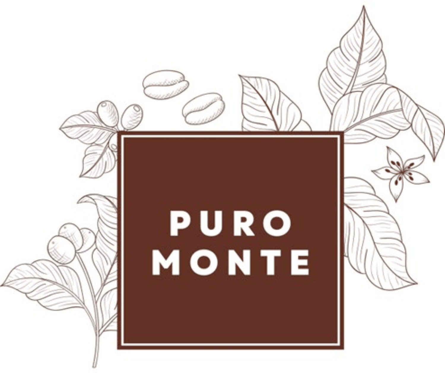 PURO MONTE
