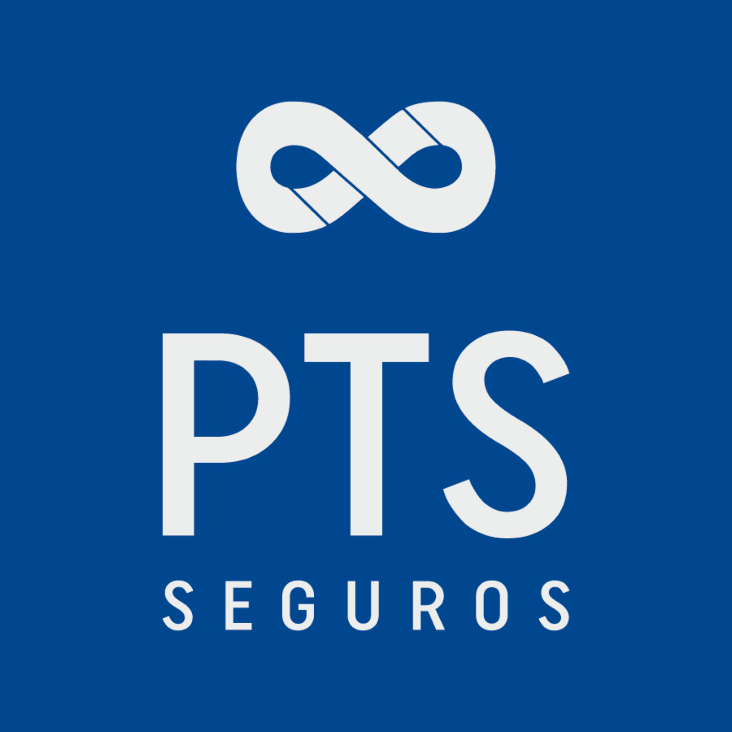 PTS SEGUROS