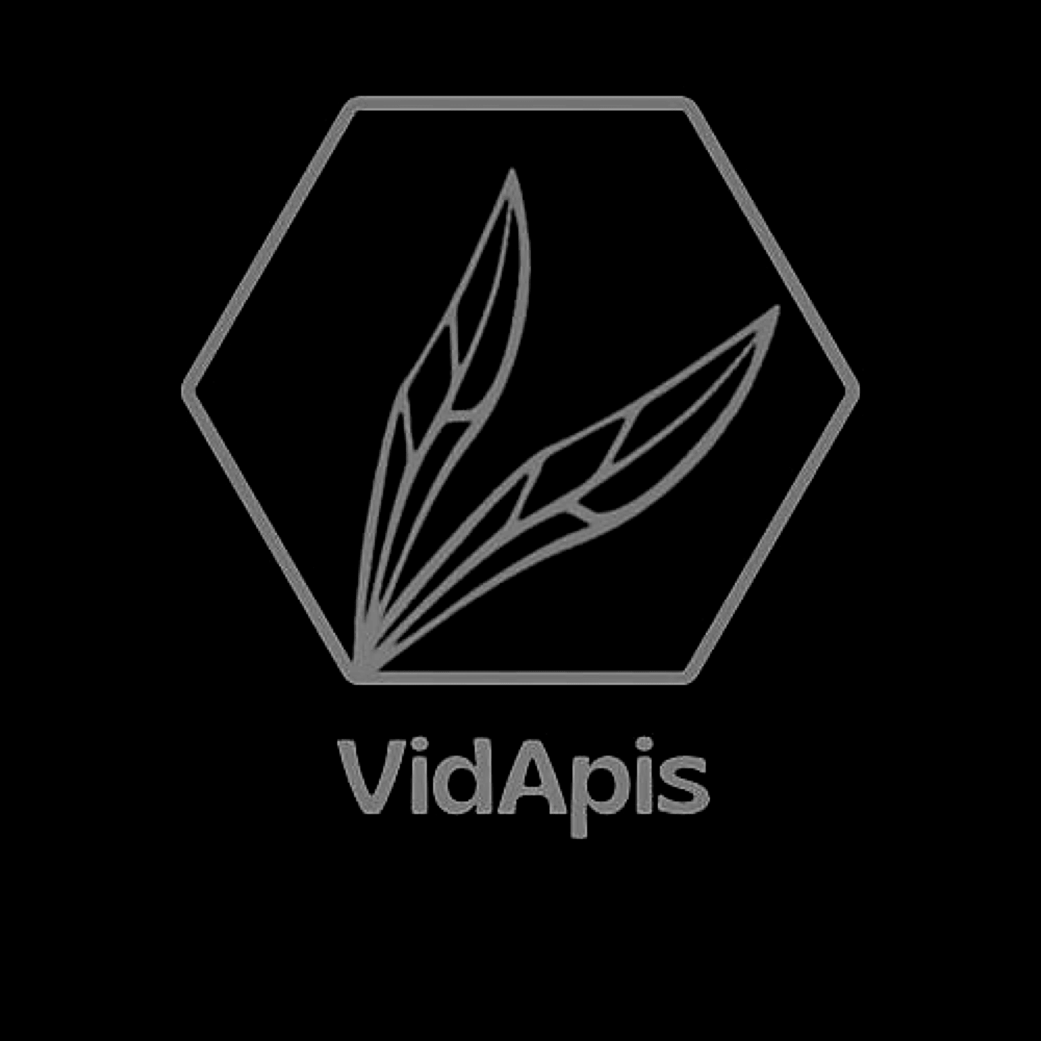 VidApis