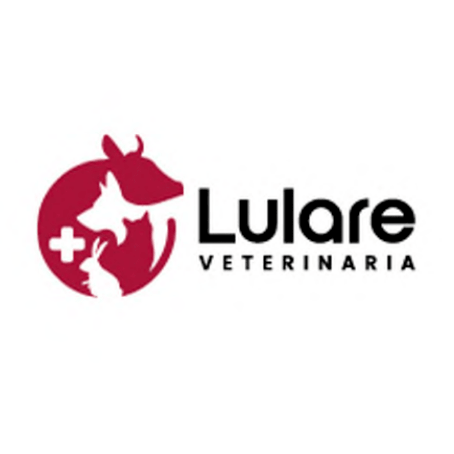 Lulare VETERINARIA