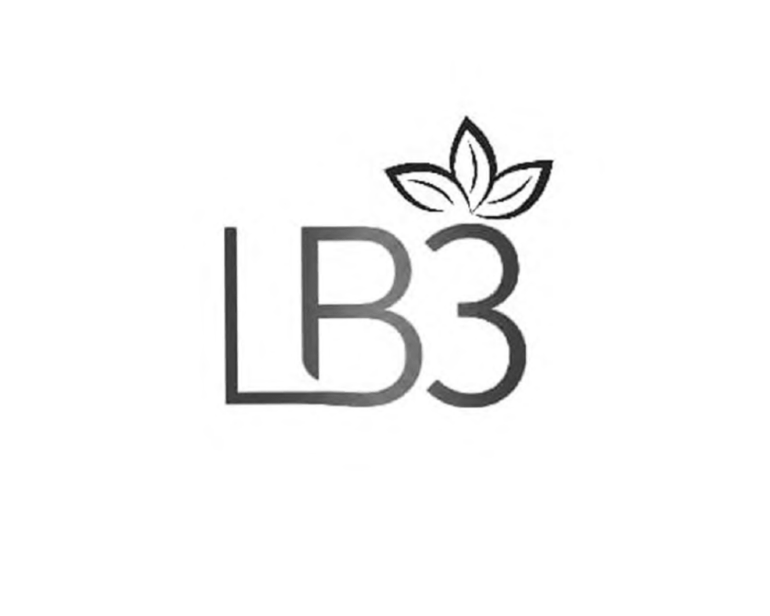LB3