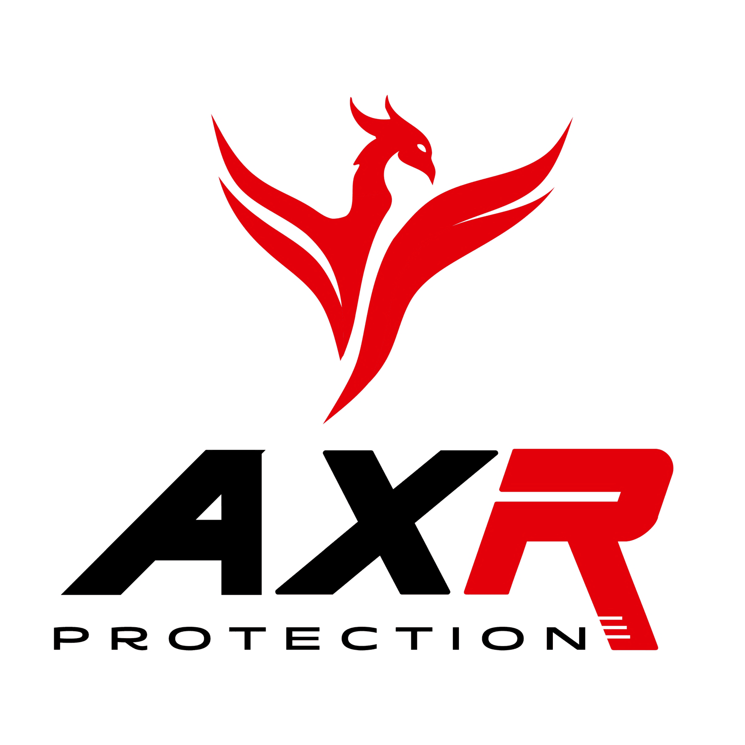 AXR PROTECTION