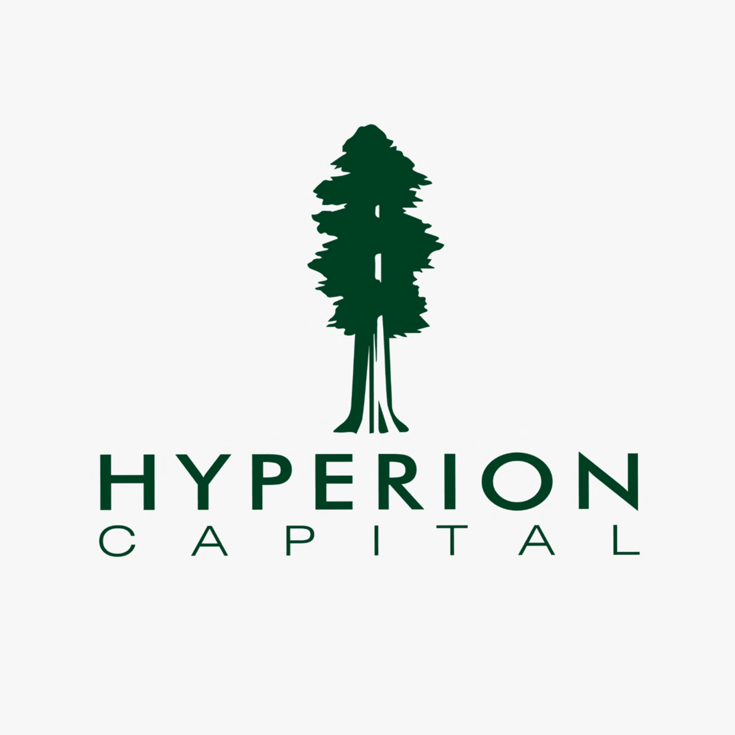 HYPERION CAPITAL